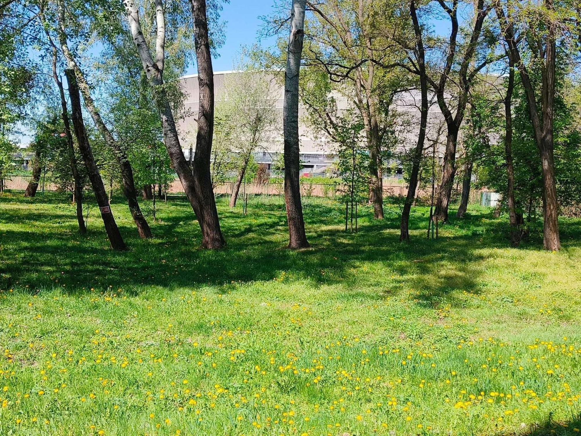 ibis budget Wrocław Stadion Buitenkant foto